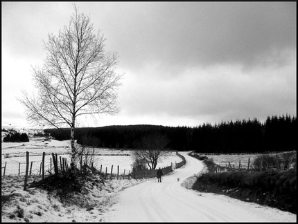 dana-hilliot---arbre 4257137277 o