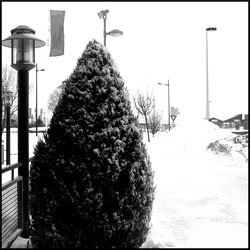 Zone Blanche 2010