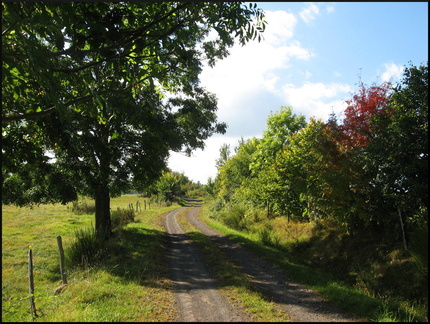 dana-hilliot---last-poems-from-cantal-september 1387730692 o