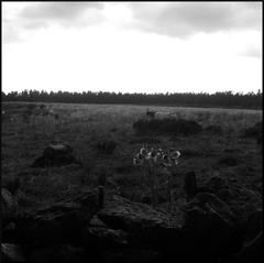 dana-hilliot---last-poems-from-cantal-september 1387701266 o