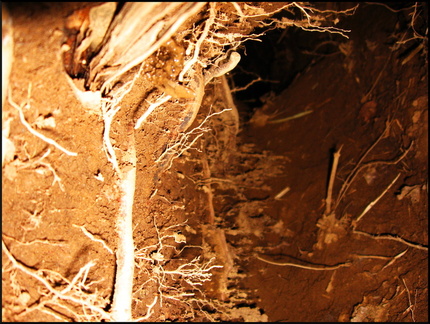 dana-hilliot---au-col-de-la-fageolle 379797235 o