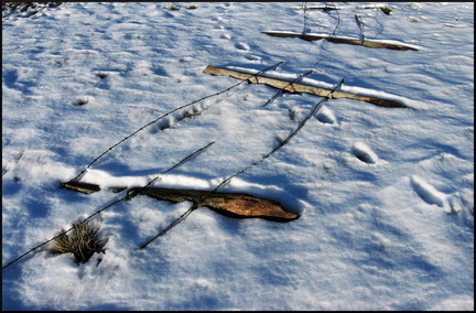 dana-hilliot---au-col-de-la-fageolle 379794780 o