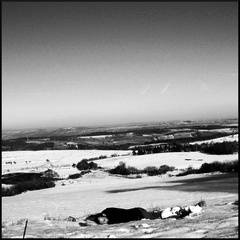 dana-hilliot---au-col-de-la-fageolle 379793524 o