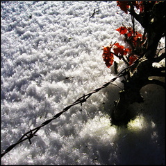 dana-hilliot---au-col-de-la-fageolle 379792871 o