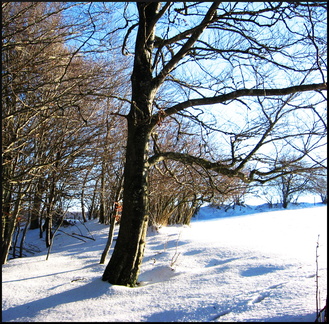 dana-hilliot---au-col-de-la-fageolle 379791179 o