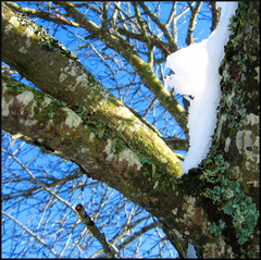 dana-hilliot---au-col-de-la-fageolle 379789180 o