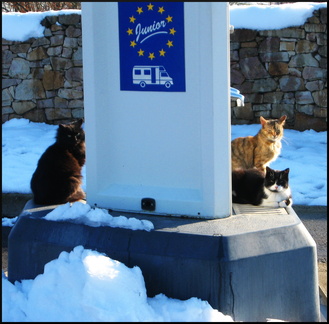 on-the-road 375649692 o