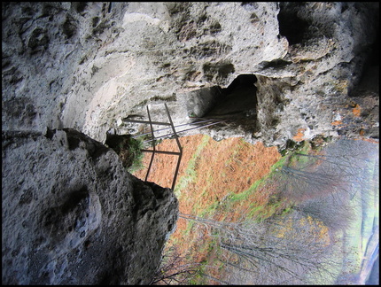 dana-hilliot---home 310567030 o