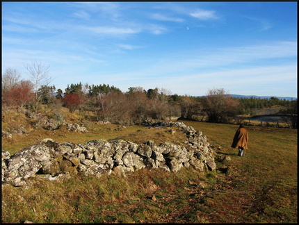 dana-hilliot---delphine-dora-s-walking 337355712 o