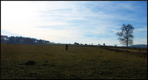 dana-hilliot---delphine-dora-s-walking 337355021 o