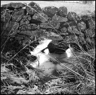 dana-hilliot---delicat 337354725 o