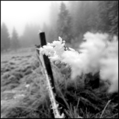 dana-hilliot---jour-de-glace 4181427207 o