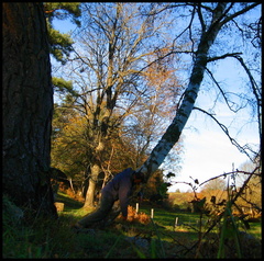 dana-hilliot---winters-coming 289784984 o