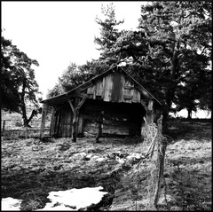 dana-hilliot--barn 389289221 o