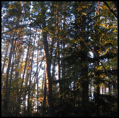 dana-hilliot---coteaux-dalleuze 1792564819 o