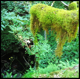 dana-hilliot---aux-berges-du-ruisseau-des-ternes 800931065 o