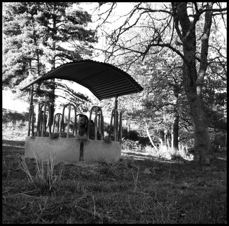 dana-hilliot---winters-coming 289787260 o