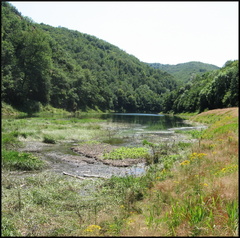 dana-hilliot---explorations-lpie 753515684 o