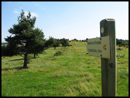 dana-hilliot---les-tourbires-de-brujaleine 818555092 o