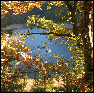 dana-hilliot---coteaux-dalleuze 1793415044 o