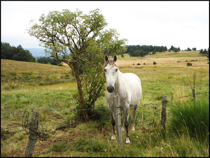 rageade-en-margeride-nord 1080332188 o