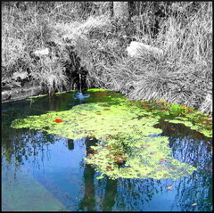 dana-hilliot---around-saint-flour 308888046 o