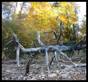 dana-hilliot---le-grichte 1814416471 o