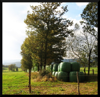 dana-hilliot---untitled 1810003969 o