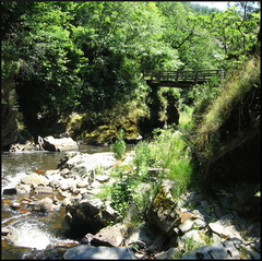 dana-hilliot---explorations-lpie 752663649 o