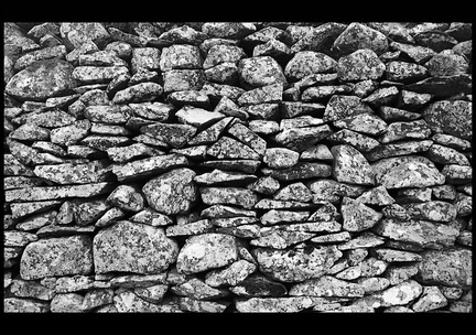 dana-hilliot--details 276459176 o