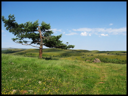 dana-hilliot---les-tourbires-de-brujaleine 817682399 o