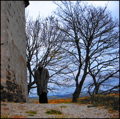 breaking-sunday 295563153 o