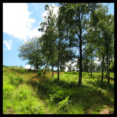 dana-hilliot---fridefont-summer-2007 739343793 o