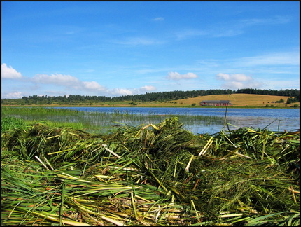 le-lac-du-pcher-pinatelle 1079463207 o