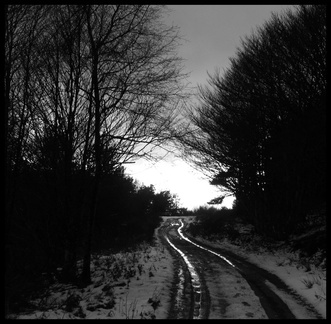 dana-hilliot---hauteurs-de-margeride 2098866152 o