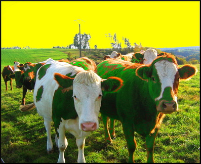 dana-hilliot---psychedelic-cantal 284608165 o