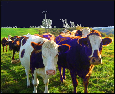 dana-hilliot---psychedelic-cantal 284605503 o