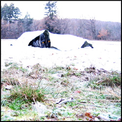 Performances (2004-2006)