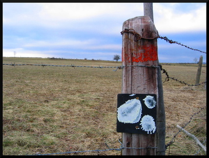 dana-hilliot--another-pics-80 83477909 o