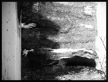 dana-hilliot--another-pics-52 82270142 o