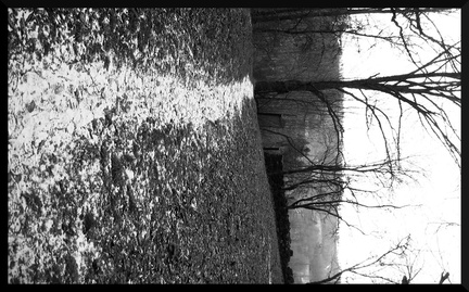 dana-hilliot--another-pics-51 82270141 o