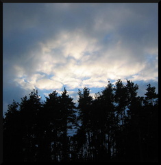 dana-hilliot--another-pics-44 81673185 o