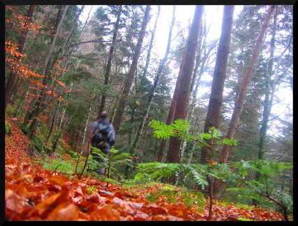 dana-hilliot--another-pic-41 80501835 o