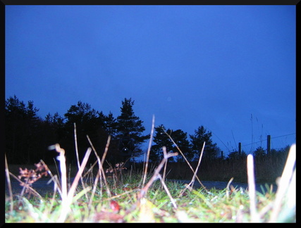 dana-hilliot--another-pic-37 80497731 o