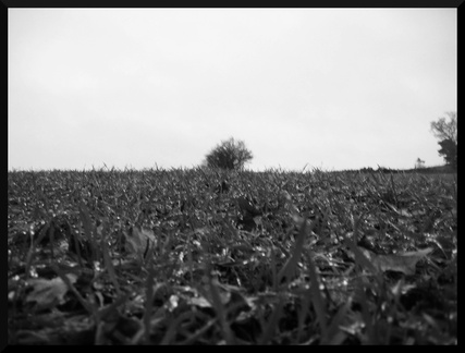 dana-hilliot--another-pic-35 80497734 o