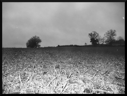 dana-hilliot--another-pic-34 80497735 o