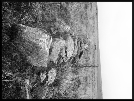 dana-hilliot--another-pics-27 78193210 o