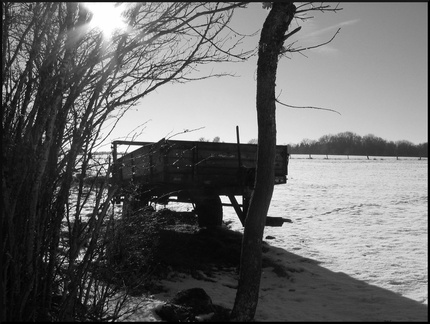 dana-hilliot--another-pics-24 78190267 o