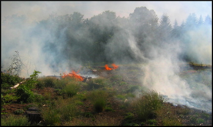 dana-hilliot--another-pics-23 78190266 o