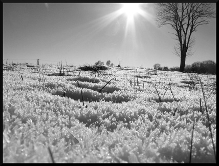 dana-hilliot--another-pics-21 78190264 o